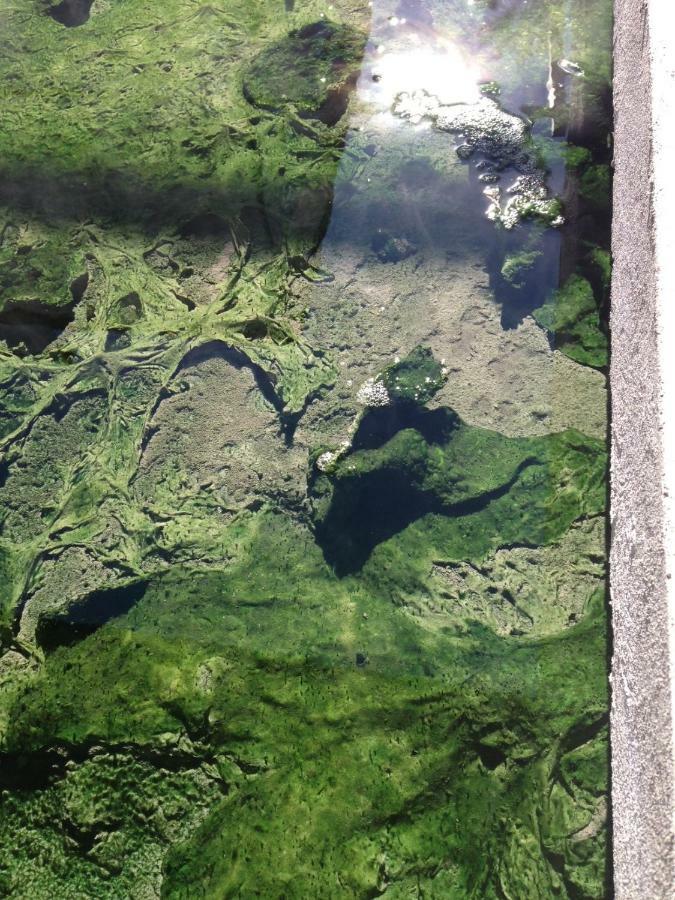 Hotel Terme Principe Abano Terme Eksteriør bilde